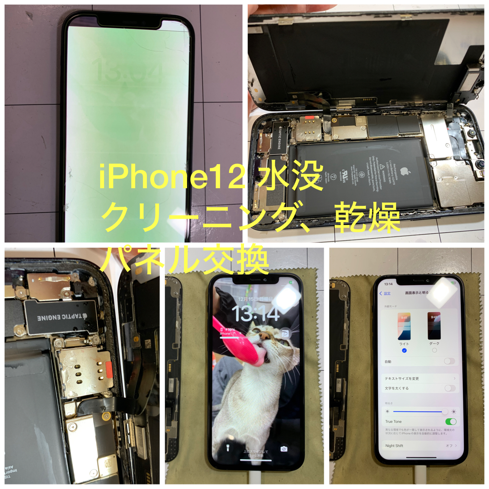 【iPhone修理  福井】福井でiPhone修理ならあいプロ福井LONGBREAK店